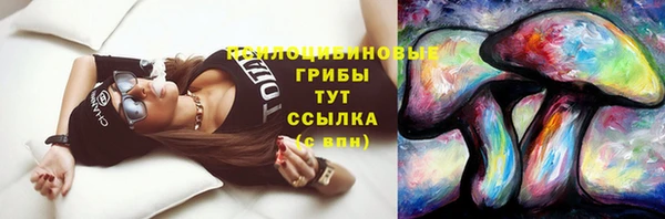 соль курить ск Аркадак
