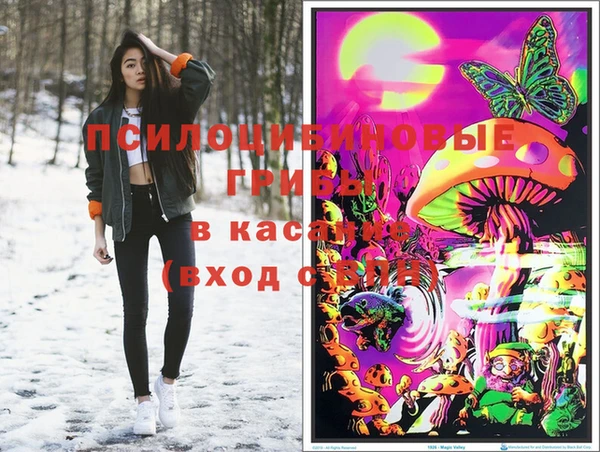 соль курить ск Аркадак