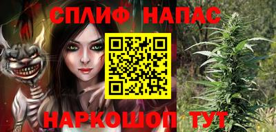 прущие грибы Краснодар