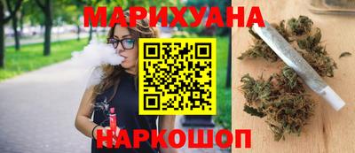 прущие грибы Краснодар