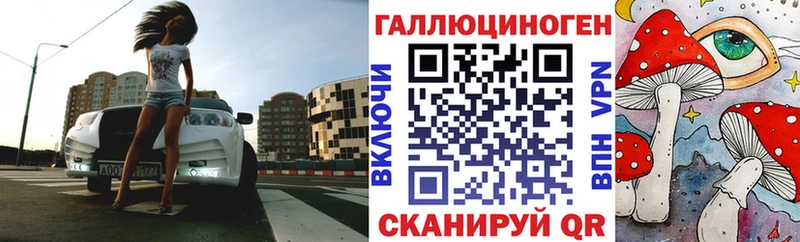купить закладку  Урюпинск  Псилоцибиновые грибы прущие грибы 